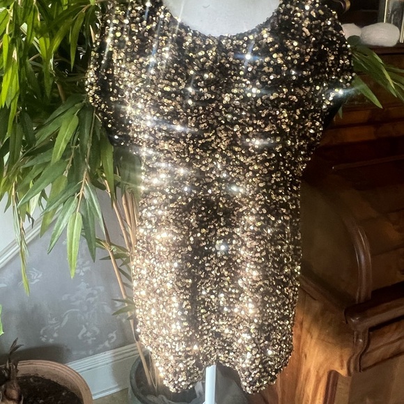 Cable and Gauge sequin ladies short sleeve top crewneck Velveteen back Medium - Picture 6 of 12